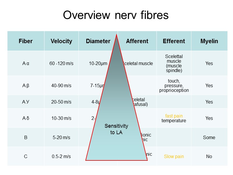 Overview nerv fibres Sensitivity to LA Overview nerv fibres Sensitivity to LA
